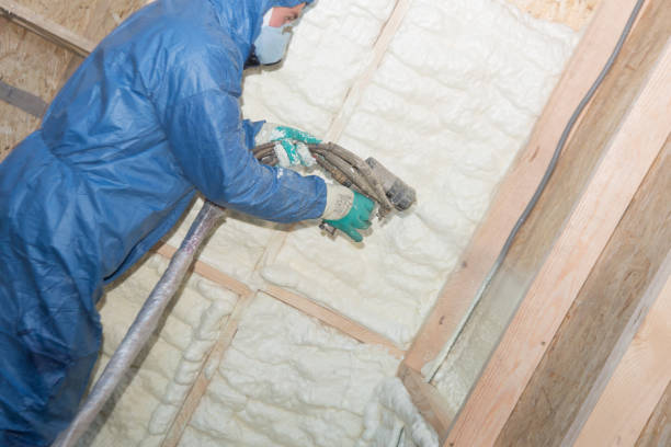 Types of Insulation We Offer in Citrus, CA